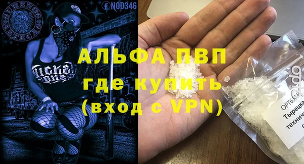 винт Вяземский